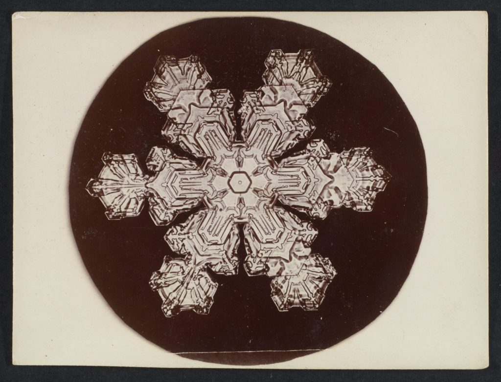 Wilson Alwyn Bentley - Snow_Crystal MET_DP351899