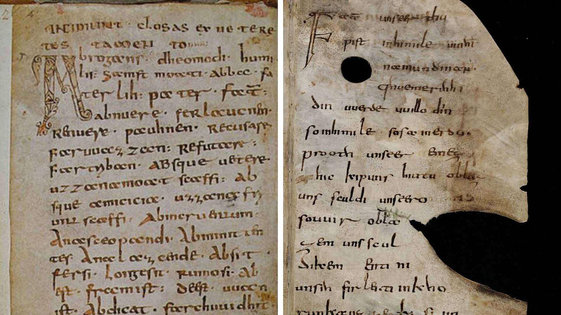 Der Abrogans: Nur noch ein Sprachfossil?